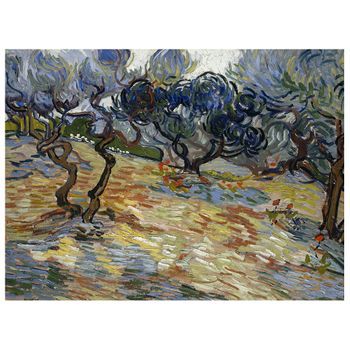 Legendarte - Cuadro Lienzo, Impresión Digital - Olivos - Vincent Van Gogh - Decoración Pared Cm. 60x80