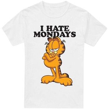 Garfield Camiseta I Hate ndays para hombre