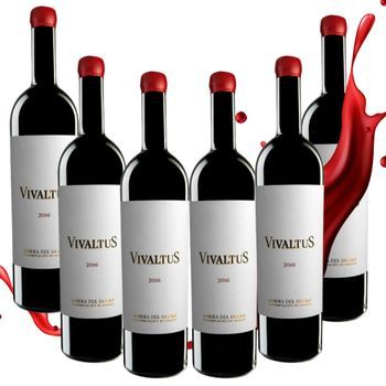 Vivaltus - Ribera Del Duero - Tempranillo-cabernet-merlot - Cuerpo Pleno - Pack 6 Botellas 75 Cl - 14% Vol.