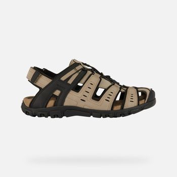 GEOX Strada Hombre Gris Pardo Claro