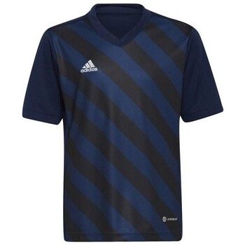 adidas Camiseta Entrada 22 Graphic Jersey para niño