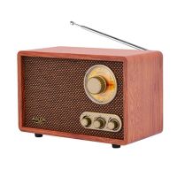 radio portatil adler amfm 10w bluetooth marron