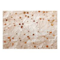 papel pintado 3d - stone and gold 400x280 cm