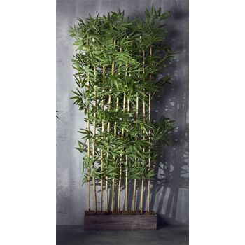 Separador Bambu 10 Ramas 185 Cms. 75x18x185 Cms