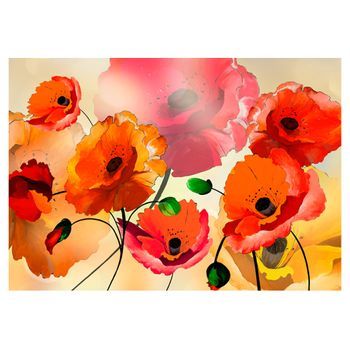Papel Pintado 3d - Amapolas Suaves (350x245 Cm)