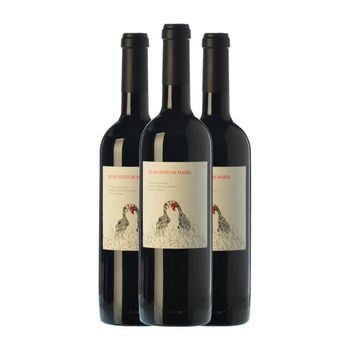 Virgen De La Asunción Vino Tinto El Secreto De María Ribera Crianza 75 Cl 14% Vol. (pack De 3 Unidades)
