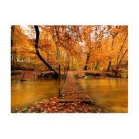 papel pintado 3d - un puente en un bosque otoal 350x270 cm
