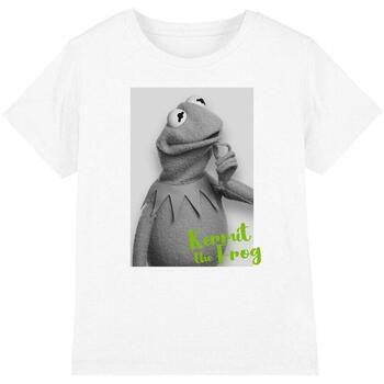 The Muppets Tops y Camisetas TV35926 para niño