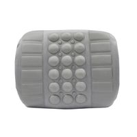 universal lumbar support cushion