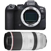 EOS R6 Mark II ( R6II ) + RF 100-500mm f/4.5-7.1 L IS USM + PDF MCZ DIRECT  pulgadas pulgadas20 TÉCNICAS PARA MEJORA
