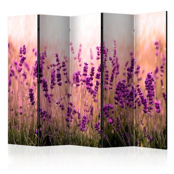 Biombo - Lavender In The Rain Ii (225x172 Cm)