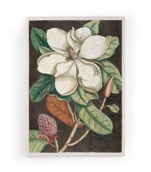 Lienzo 60x40 impresión Magnolia