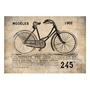 Papel Pintado 3d - Old School Bicycle (350x245 Cm)