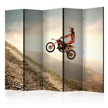 Biombo - Motor Sport Ii [room Dividers]