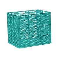 banasta - verde sft 1