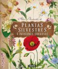 atlas ilustrado de plantas silvestres e infusiones curativas