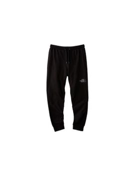 Pantalones de Montaña The North Face Drew Peak Black Hombre