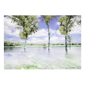 Papel Pintado 3d - Paisaje De Primavera (200x140 Cm)