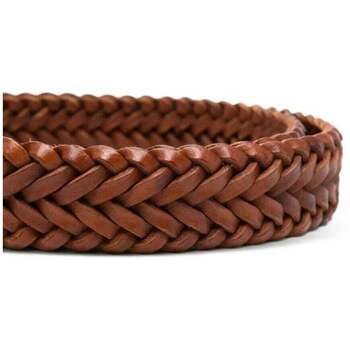 Dragon Alliance Cinturón 9Play Polo Tip 3Cm para mujer