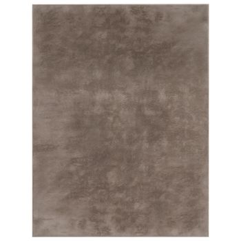 Alfombra suave Solina taupe 60x90 cm