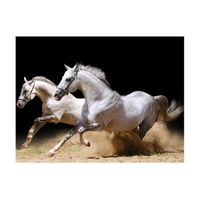 papel pintado 3d - galope en la arena 300x231 cm