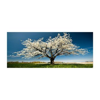Pintura Decorativa Lienzo Yty1233464_50120 Multicolor 50x120