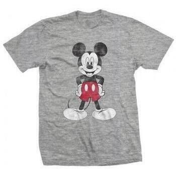 Disney Tops y Camisetas RO5719 para hombre