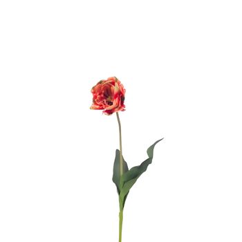Tallo de tulipán doble artificial naranja h70