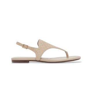 A|X Armani Exchange para mujer. XW002572AF22796U6223 Sandalias Pack beige (40), Plano, Hebilla, Casual, Clásico