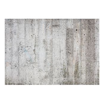 Papel Pintado 3d - Grey Emperor (350x245 Cm)