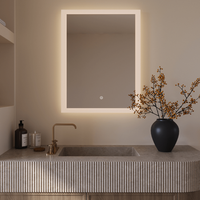 espejo de bano con luz led 60 x 80 cm rectangular antivaho 3 colores dimmable - lomazoo orlando