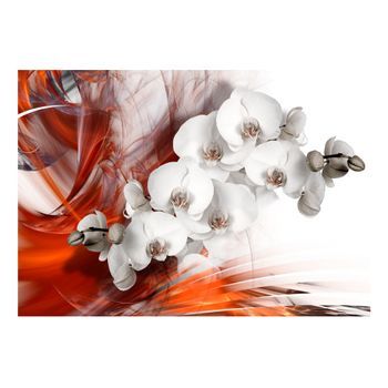 Papel Pintado 3d - Orchid On Fire Ii (350x245 Cm)