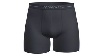 Calzoncillos boxer icebreaker merino  p anatomica  p azul