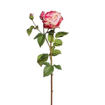 Tallo de rosa cerrada artificial blanco y fucsia h80