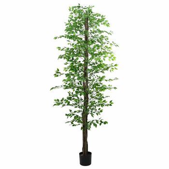 Planta Ficus Artificial 2016 Hojas 300 Cm Verde Vidaxl