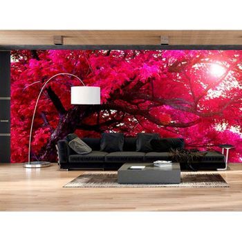 Fotomural Vinilo Árbol Ramas Rosas 400 X 300 Cm