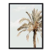 cuadro palmera y cielo marco negro 30x40 cm