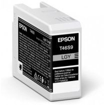 Epson UltraChrome Pro cartucho de tinta 1 pieza(s) Original Rendimiento estÃ¡ndar Gris