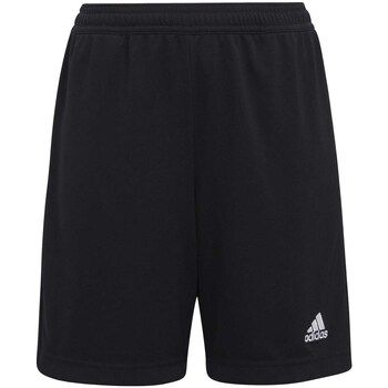 adidas Short niño Ent22 Tr Shoy para niño