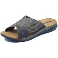 inblu pantuflas id000018 testa di para hombre