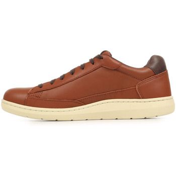 Timberland Deportivas Moda Portofino Pier para hombre