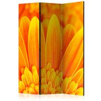 biombo - yellow gerbera daisies 135x172 cm