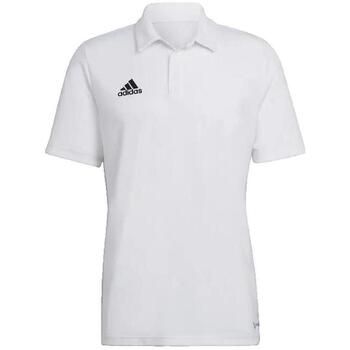 adidas Polo Polo Entrada 22 manches courtes blanc para hombre