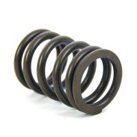 muelle de valvula bmw r boxer 2v
