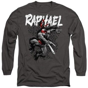 Teenage Mutant Ninja Turtles Tops y Camisetas TV10633 para hombre