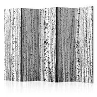 biombo - birch forest ii 225x172 cm