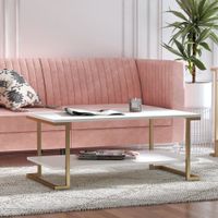 mesa de centro con 1 estante en efecto de madera blanco