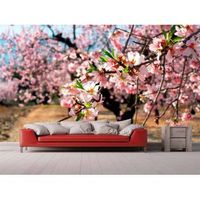 fotomural vinilo flores almendro 350 x 250 cm
