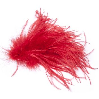 Alysi Broches SPILLA PIUME para mujer