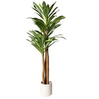 planta artificial dracaena de 170 cm